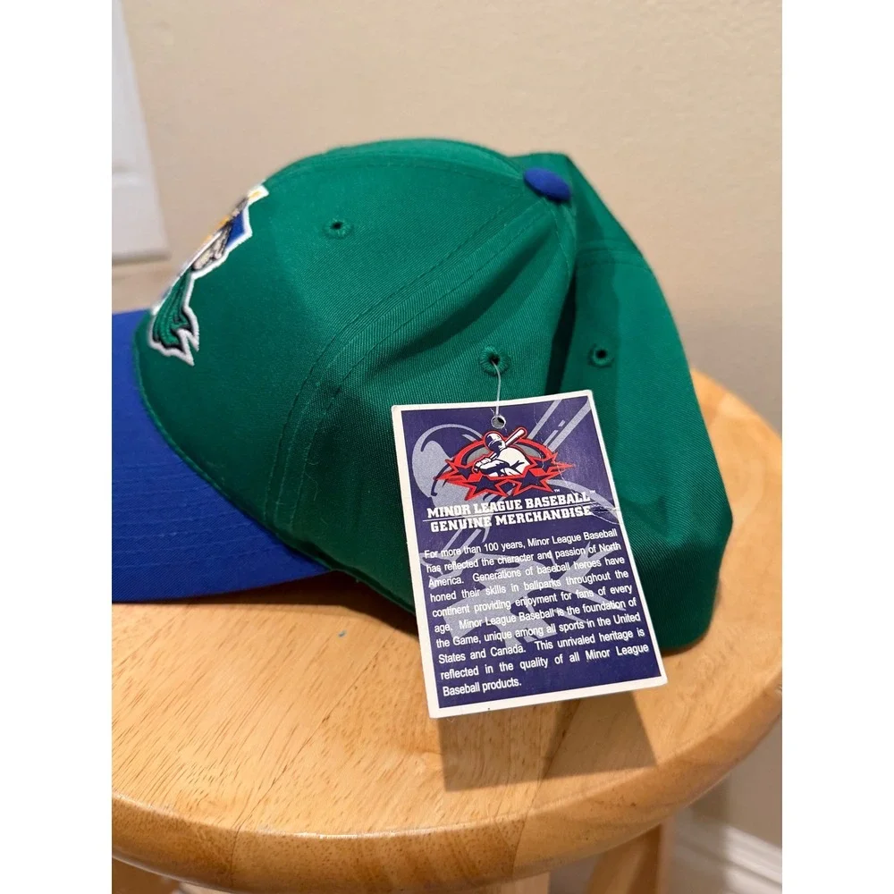 Outdoor Cap Minor League Baseball MiLB Green Blue Snapback Hat Warrior Logo‎ New